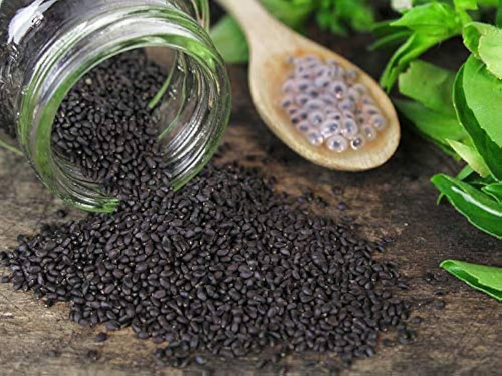 agroindia-tulsi-seeds-for-eating-manjari-61ZhbSY3TnL.jpg