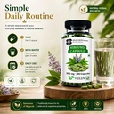 heilen-biopharm-nirgundi-capsules-500-mg-71wcKNIKA-L.jpg