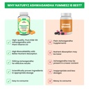 naturyz-clinically-researched-ksm-66-ash-61pxywDHBsL.jpg