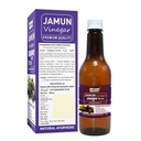 sansu-jamun-vingar-ayurvedic-natural-sir-81m0MvIwfsL.jpg