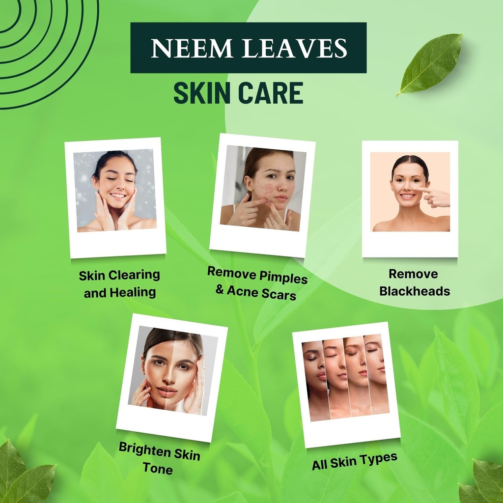brijbooti-neem-leaves-200-gram-leaf-neem-71LE2YIscGL.jpg