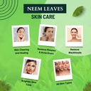 brijbooti-neem-leaves-200-gram-leaf-neem-71LE2YIscGL.jpg