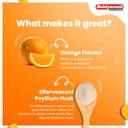 baidyanath-isabgol-orange-lax-250-gm-pac-71sNNPkr1qL.jpg
