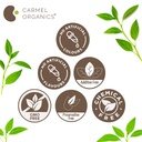 carmel-organics-tulsi-leaves-powder-340--618uF9opXPL.jpg