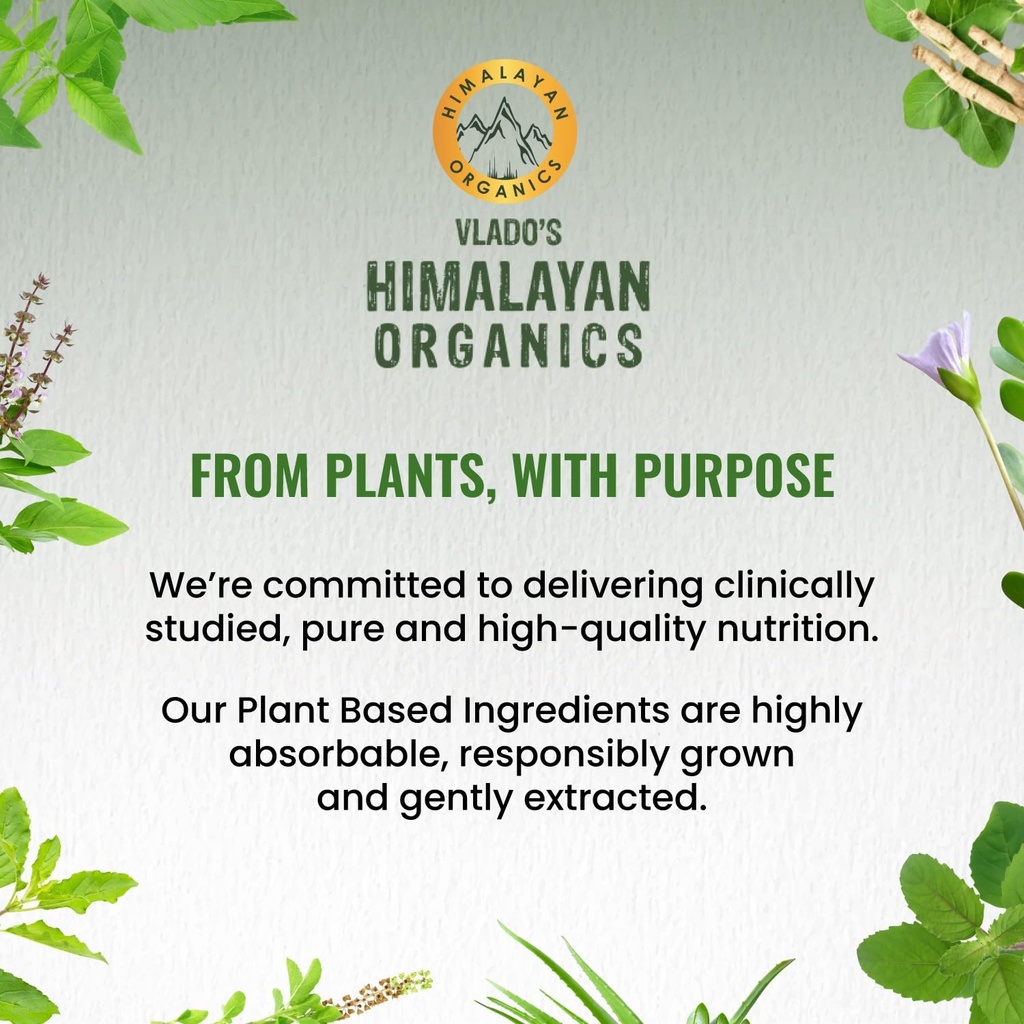 vlado-s-himalayan-organics-spirulina-200-71TJI5IEB9L.jpg