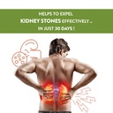 stonex-helps-to-detox-kidney-cleanse-pur-61X1yzm1EYL.jpg