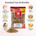 kantkari-whole-kanthkari-kantakari-premi-71v+yv80N3L.jpg
