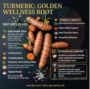 parshutara-farm-200g-fresh-raw-turmeric--81hM98MSzvL.jpg
