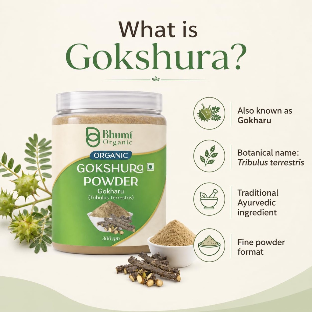 gokshura-tribulus-terrestris-powder-300g-61g5f-JLZBL.jpg