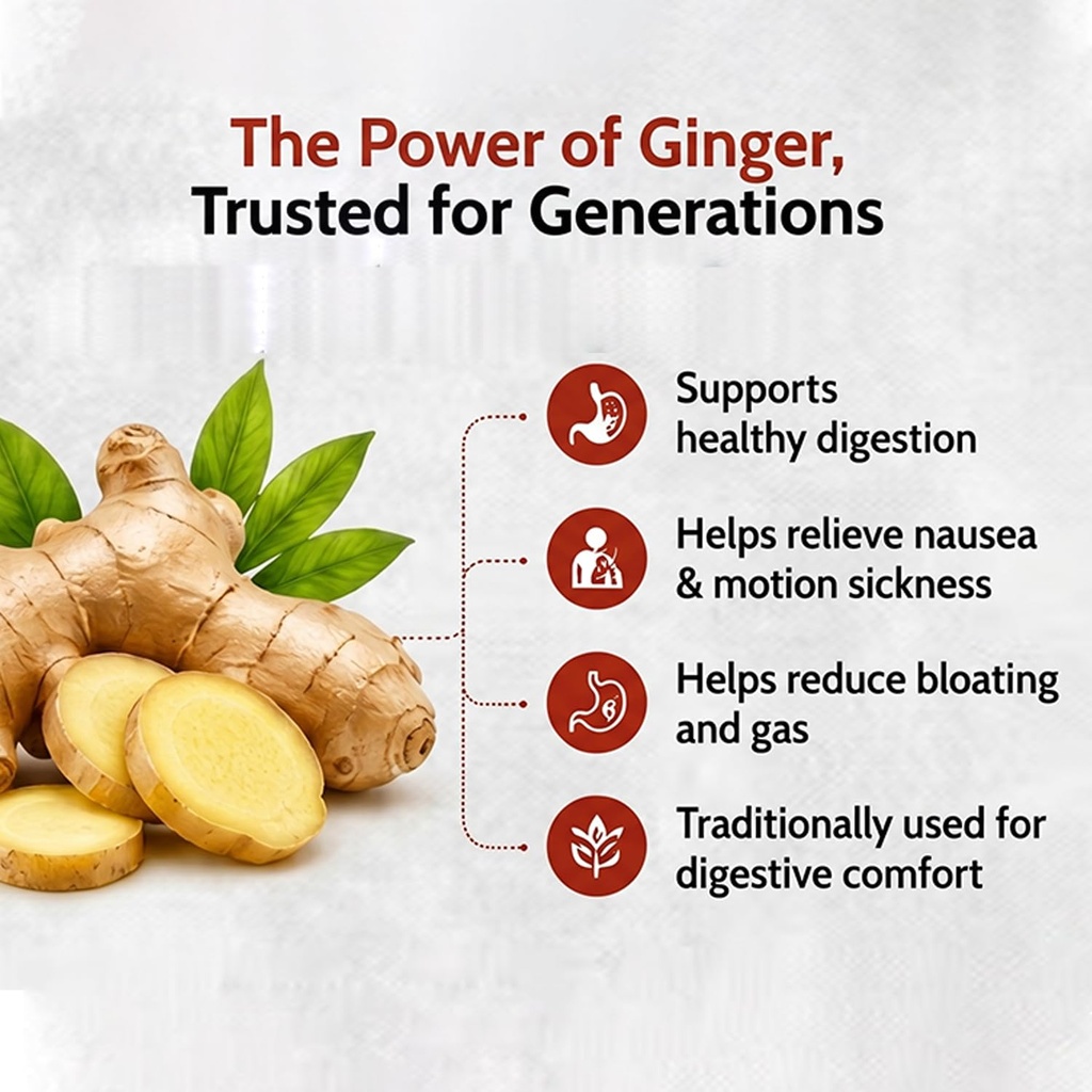 ginger-tablet-organic-herbal-chewable-gi-71IP4jQllDL.jpg