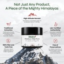 himalayan-shilajit-resin-10gm-76-7-fulvi-71QzXZM6y8L.jpg