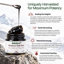 himalayan-shilajit-resin-10gm-76-7-fulvi-715napXMXxL.jpg