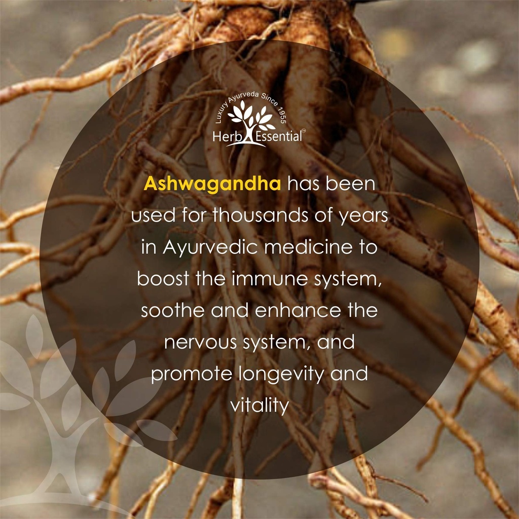 herb-essential-pure-ashwagandha-powder-5-71oxhnpT6XL.jpg