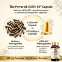 ksm-66-ashwagandha-capsules-500mg-ksm-66-81QAdK6UbFL.jpg