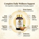 ksm-66-ashwagandha-capsules-500mg-ksm-66-71AoF-oAlsL.jpg
