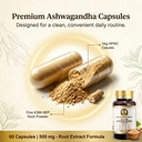 ksm-66-ashwagandha-capsules-500mg-ksm-66-81m0zhRrpVL.jpg