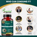 humming-herbs-saw-palmetto-plus-prostate-81suCbzKT5L.jpg