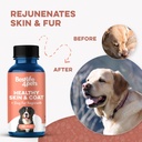 natural-skin-coat-supplement-for-dogs-la-4.jpg