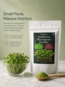 sunflower-microgreens-powder-30g-plant-b-71Mmyi13LTL.jpg