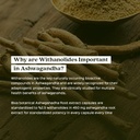 ashwagandha-extract-450mg-stress-adaptat-71NeUJQPZvL.jpg