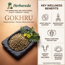 herbaveda-gokhru-bada-gokshura-500g-pure-81tlFyAR3GL.jpg