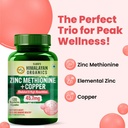 vlado-s-himalayan-organics-zinc-methioni-710We6o44ML.jpg