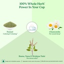 pcos-pcod-weight-loss-balance-hormone-le-61G7IzoMPyL.jpg