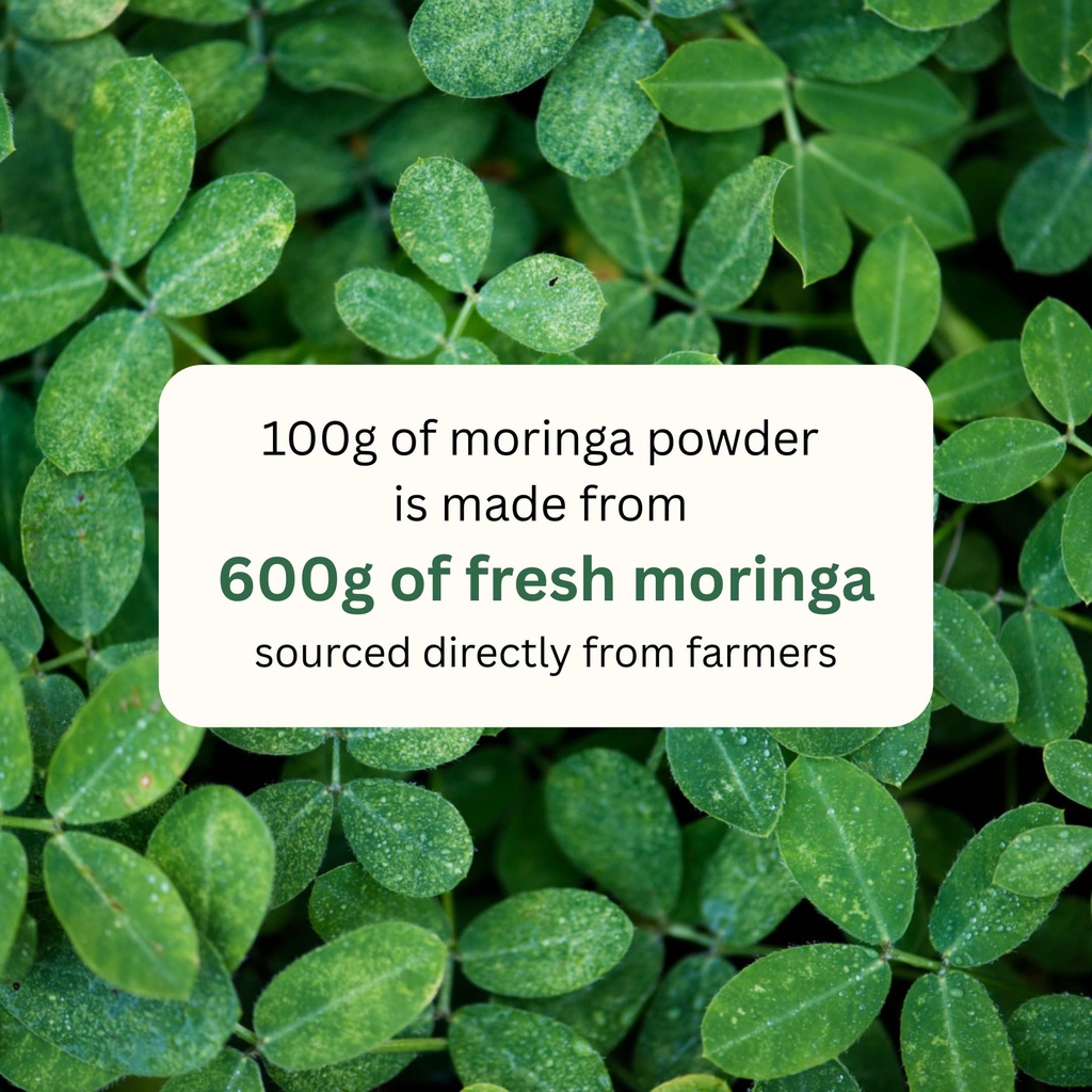 koh-moringa-leaf-powder-100-pure-natural-81H26ts7QtL.jpg