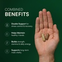 rasayanam-ashwagandha-ksm-66-500-mg-and--61b1PMBMCDL.jpg