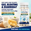 vivaviva-dairyjoy-tablets-4-digestive-en-71bZnsnKuQL.jpg