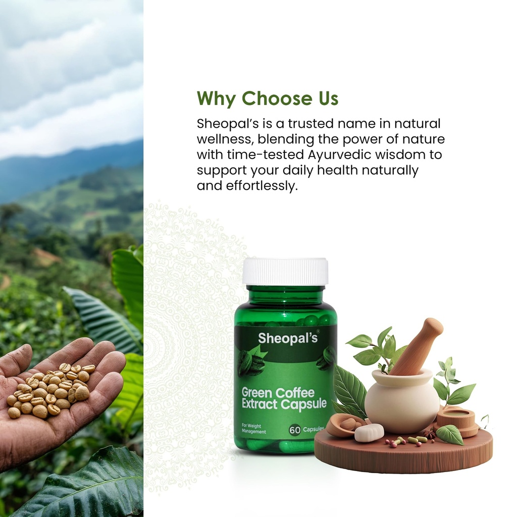 sheopals-green-coffee-extract-capsules-6-81IkZgptKsL.jpg