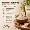 sat-isabgol-powder-ayurvedic-psyllium-hu-81ulGYMOaiL.jpg