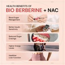 ace-blend-bio-berberine-nac-blood-sugar--61uMM1NwMgL.jpg