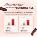 ace-blend-bio-berberine-nac-blood-sugar--61WoufGaONL.jpg