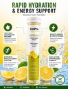 electrolyte-effervescent-tablets-lemon-f-71TCu3IhiGL.jpg
