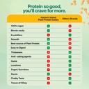 nature-s-island-plant-protein-1-kg-canad-71ChDIPOATL.jpg