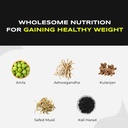 rushabh-gaharwar-organics-refort-84-tabl-61mHgz+HhuL.jpg