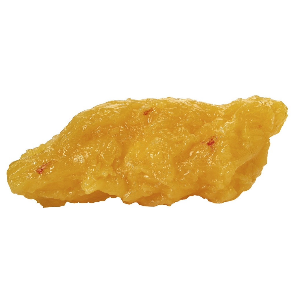 nasco-wa04313-human-body-fat-replica-5-l-3.jpg