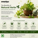 arand-mool-powder-castor-root-powder-ara-719zEuDFhoL.jpg