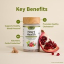 snap-supplements-heart-health-supplement-3.jpg