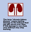 yog-and-ayurved-kidney-formula-detox-cle-81zR9+B8SAL.jpg