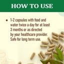 organic-wellness-fat-fit-capsule-ayurved-71Z8Yd1YWeL.jpg