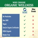 organic-wellness-fat-fit-capsule-ayurved-61QU8TSWrzL.jpg