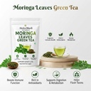 moringa-ginger-green-tea-moringa-natural-61TdQQCyPlL.jpg