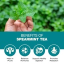 spearmint-herbal-tea-caffeine-free-mint--61F09eP9BtL.jpg