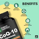 coenzyme-q10-coq10-200mg-with-piperine-5-71dVcFQ9xTL.jpg