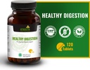 athreya-herbs-healthy-digestion-tablets--3.jpg