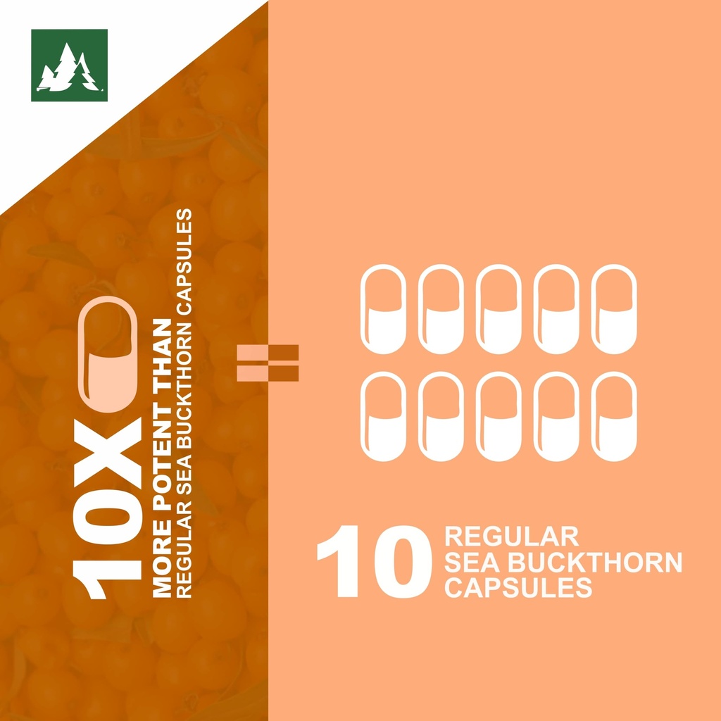 sea-buckthorn-extract-10x-potency-1000-m-71+HOM6d8lL.jpg