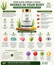 feasy-vegetarian-omega-3-algal-oil-40-hi-71X6koSla4L.jpg