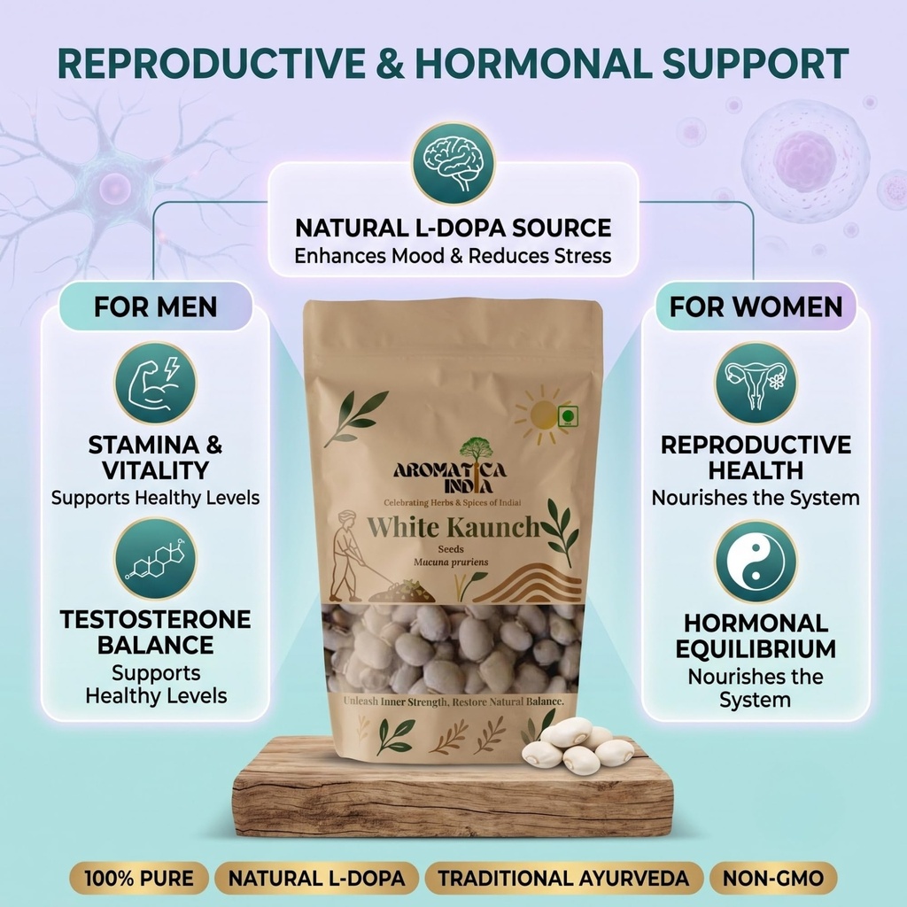 aromatica-india-white-kaunch-beej-mucuna-81JtSbe1auL.jpg